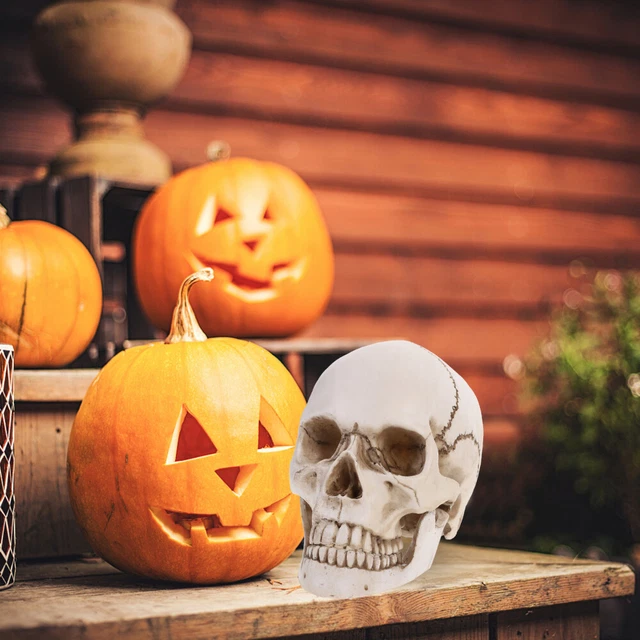 Haunted Resin Human Skeleton Goblincore Room Decor Out Door