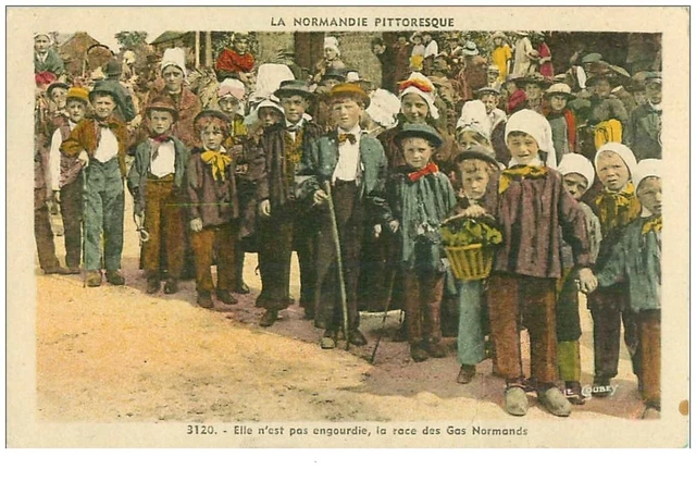 14.LA NORMANDIE PITTORESQUE.n°13217.ELLE N'EST PAS ENGOURDIE LA RACE DES GAS N