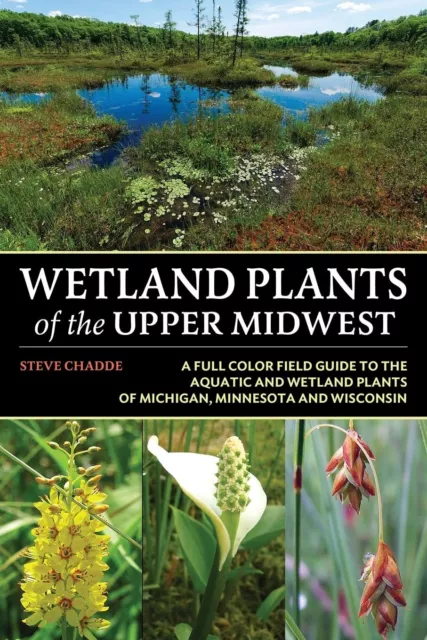 Wetland Plantes De The Supérieur Midwest Par Chadde,Steve W Neuf Livre,Libre &