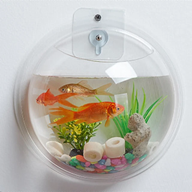 CLEAR ACRYLIC ROUND Fish Wall Acrylic Planter Wall Mount Fish Bowl £16.