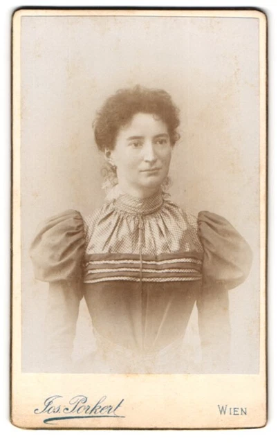 Fotografie Jos. Porkert, Wien, Kanalgasse 5, Portrait junge Dame im Kleid