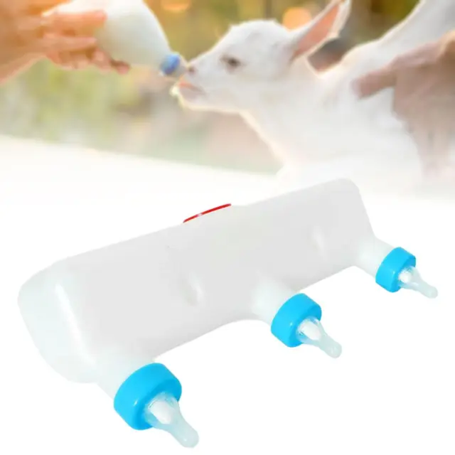 Puppy Feeder Small Animal Feeding Bowl Multi Nipples 3 L Pet Drinking Supplies