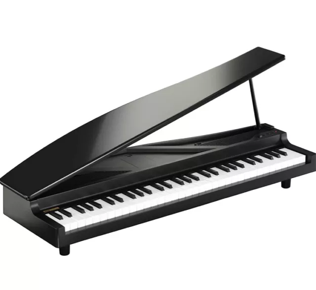 Korg microPIANO mini micro keyboard piano electric digital grand 61key black