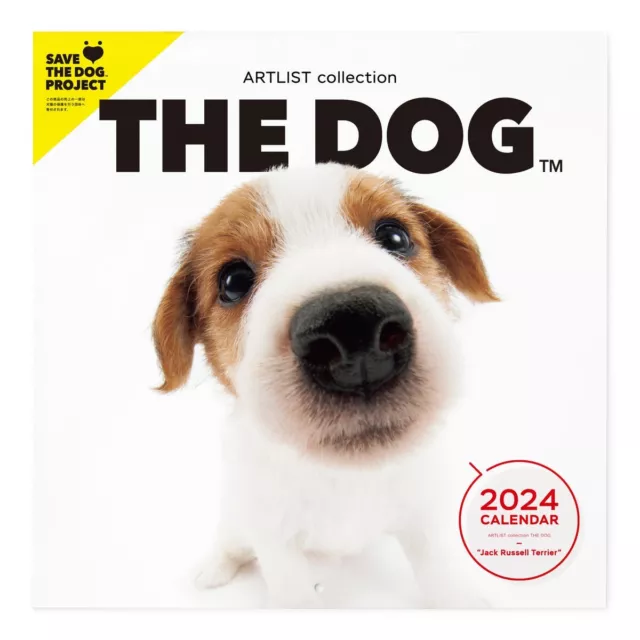 THE DOG 2024 Calendar Large Size jack russell terrier 290 × 290mm 55.