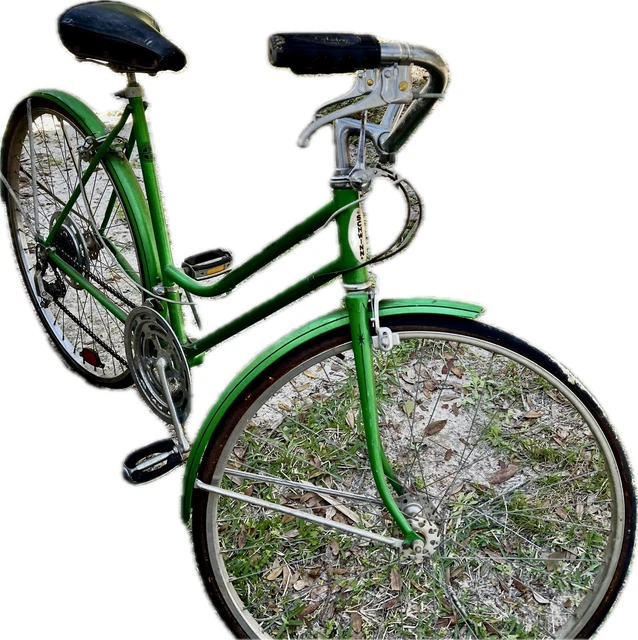 schwinn suburban vintage green