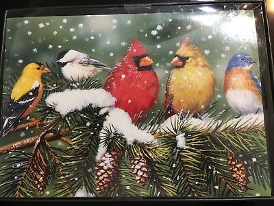 New Christmas 18/pk Snow Birds Cards Holiday glitter boxed Finch Cardinal Season