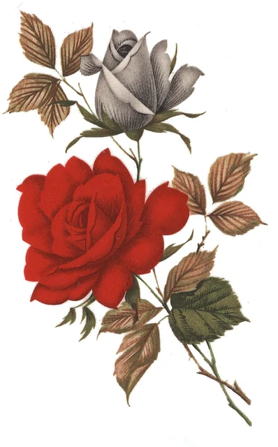 Calcomanías de cerámica tobogán azul blanco rosa 4 piezas 4"" X 2"" Tx
