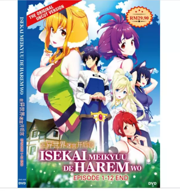DVD ANIME ISEKAI MEIKYUU DE HAREM WO VOL.1-12 END *UNCUT* ENGLISH SUBS  +FREE DVD