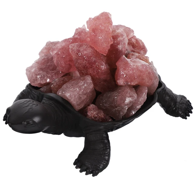 Pot De Fleurs Décoratif En Résine - Statue Tortue Animaux Marins - Décoration De Jardin Et Intérieur - Dimensions 8x4x4.7 Cm