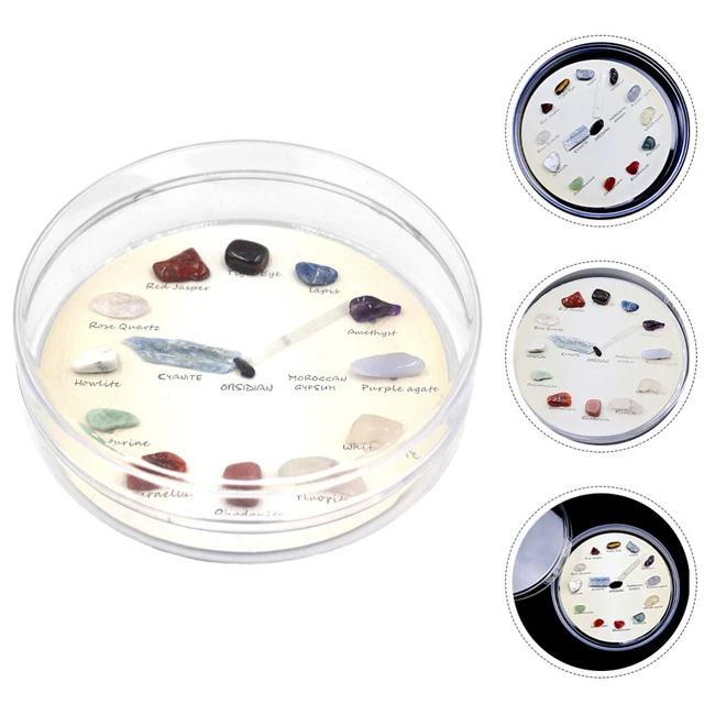 Chevalet De Présentation En Métal Pour Minéraux, Fossiles, Géodes - 3 Tailles - Support Vitrine Pour Collection