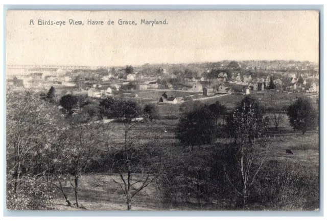 Havre De Grace Maryland MD Postcard Birds Eye View Buildings Trees 1907 Antique