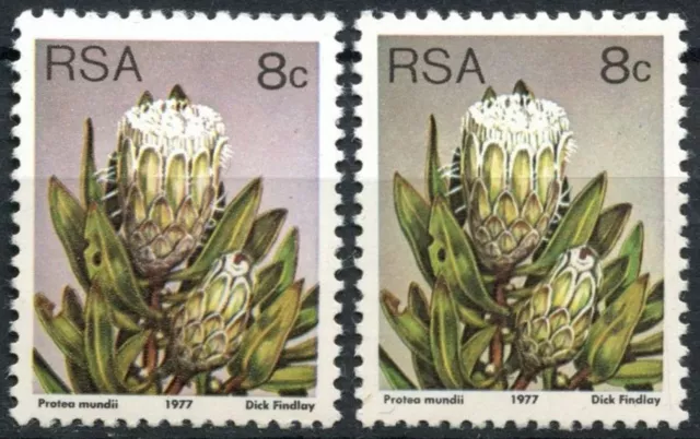 South Africa 1977-82 SG#421, 8c Proteas, Plants Definitive MNH P12.5 x 2 #E8965