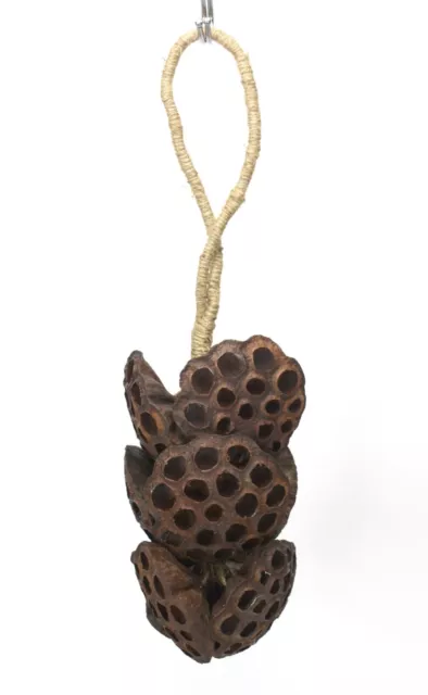Hängende Dekorativ Seil Von Exotische Getrocknet Groß Lotus Köpfe, 38cm Länge.