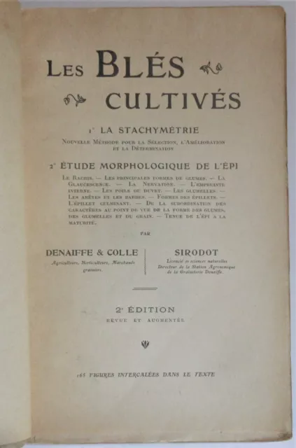 Denaiffle & Sirodot Les Bles Cultives 1922 Illus. Agriculture Botanique Rare 2