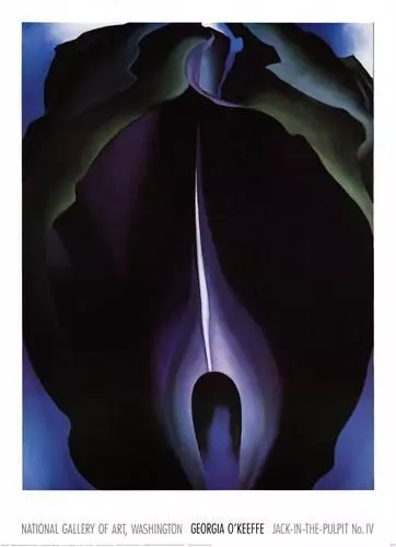 Georgia O'Keeffe Jack in the Pulpit IV Open Edition