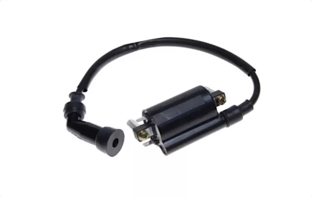 Zündspule Zündkabel Ignition Coil 12V 4T für SUZUKI GN 125 GN125 DR GS TU 125