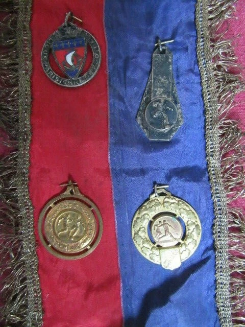 SULOLI Lot De 30 Médailles En Plastique Doré Pour Récompense, Compétition Sportive, Spectacle De Talent, Orthographe D'abeille, Cadeaux D'anniversaire