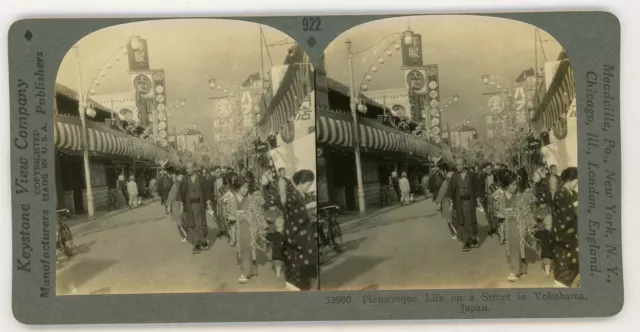 Japan Yokohama ~ Strasse W / Topfpflanze Kirschblüte Bäume ~ Stereoskopie 33900