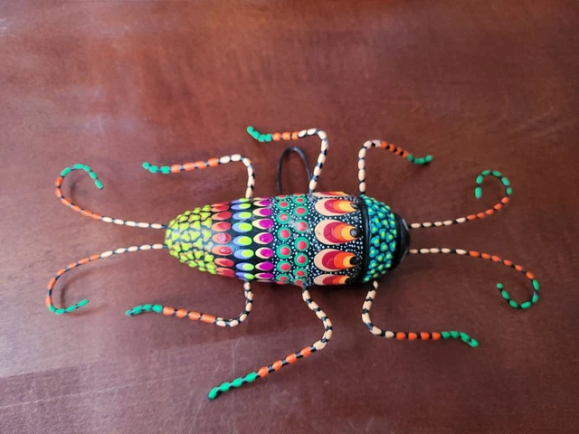 Rainbow Earwig Insect Bug Concepcion Aguilar Josefina Oaxaca Mexico Insect Clay