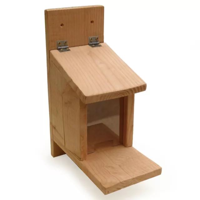 Caja de alimentación de ardillas tupidas de vida silvestre y cuidado de aves hecha en el Reino Unido a partir de alerce