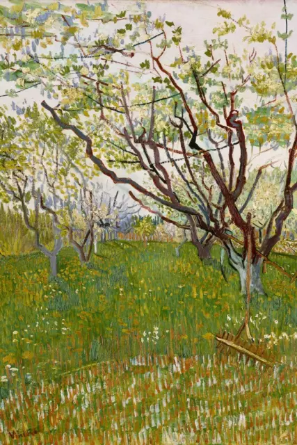 Vincent Van Gogh Flowering Orchard 1888 Laminated Poster 24x36