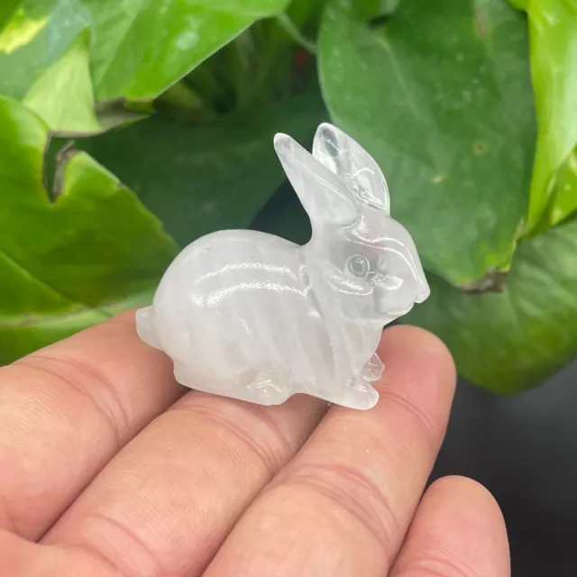 1pc Natural white Quartz carved mini rabbit skull crystal reiki healing random