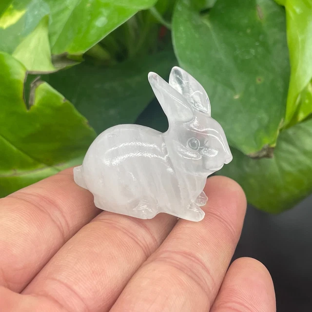1pc Natural white Quartz carved mini rabbit skull crystal reiki healing random