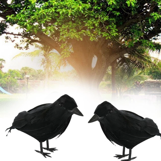 BLACK LIFESIZE RAVEN Movie Prop Fake Crow Halloween Hunting Decor Bird