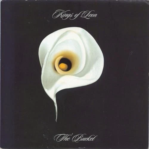 Kings Of Leon 7" vinyl single record The Bucket UK HMD43