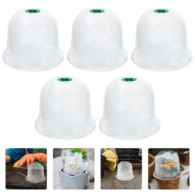 5 Pcs Plant Dome Kit Cloche Protector Bell Clochoe Jar Boredom