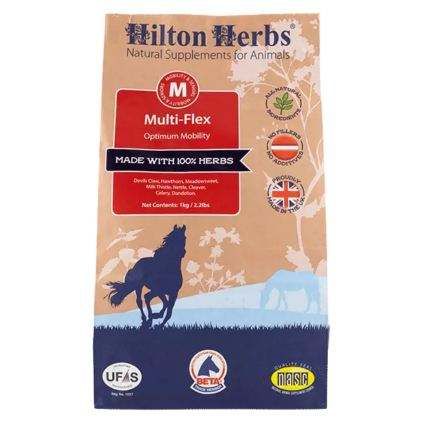 Hilton Herbs MultiFlex Powder 1KG + FREE SHIPPING