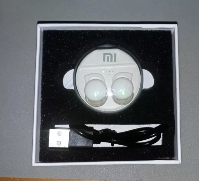 Q26 Mini Night Time Ear Buds 3