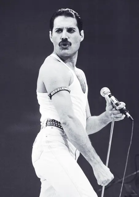 Queen Poster Freddie Mercury 59,5 x 84 cm