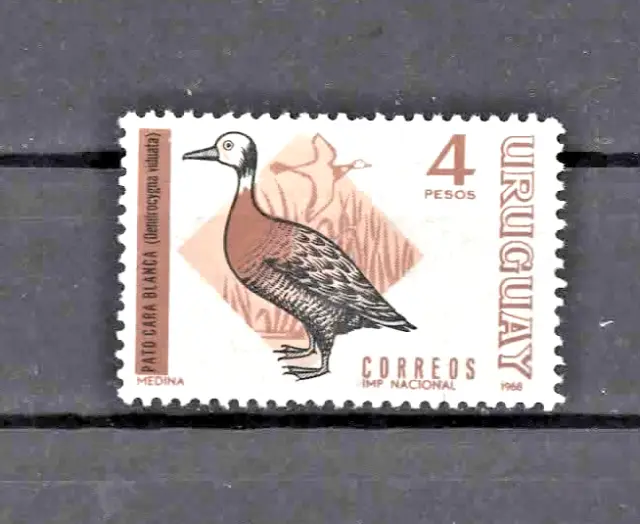 URUGUAY  1968 - Oiseaux - DENDROCYGNE à FACE BLANCHE -  neuf **