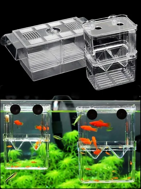 Aquarium Acrylic Clear Fish Breeding Isolation Box Fish Tank Hatching Incubator