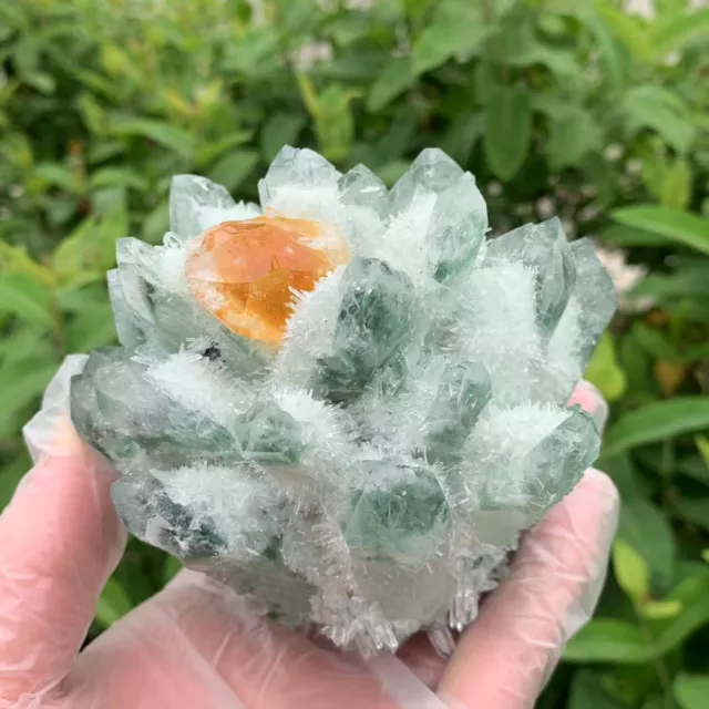 300g+  New Find Green Yellow Phantom Quartz Crystal Cluster Mineral Specimen Gem