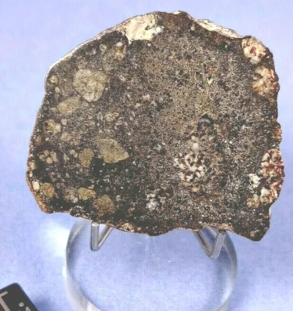 13.95 Slice Nwa 10553 Eucrite Brecciated Achondrite Meteorite, Highly Polished