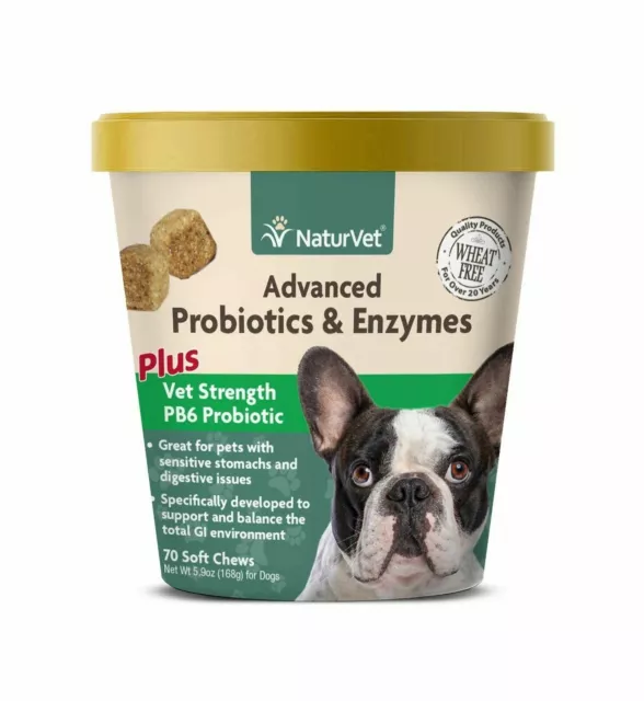 Veterinarian Strength Advanced Probiotics, Healthy Enzymes & PB6 Probiotic Su...