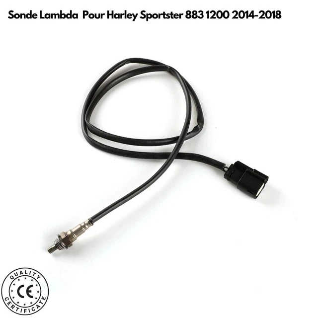 SONDE LAMBDA CAPTEUR Oxygène Avant pour Harley Sportster 883 1200 ...