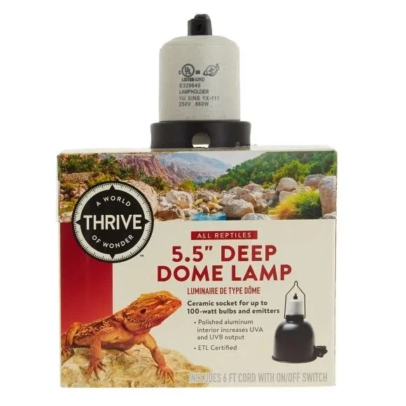 A World Thrive of Wonder 5.5" Deep Dome Lamp