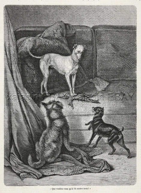 Dog Whippet, Cairn Terrier & German Pinscher Get in Trouble, 1870s Antique Print