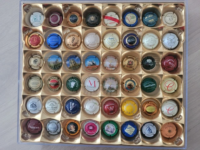 Lot de 48 Capsules de Champagne