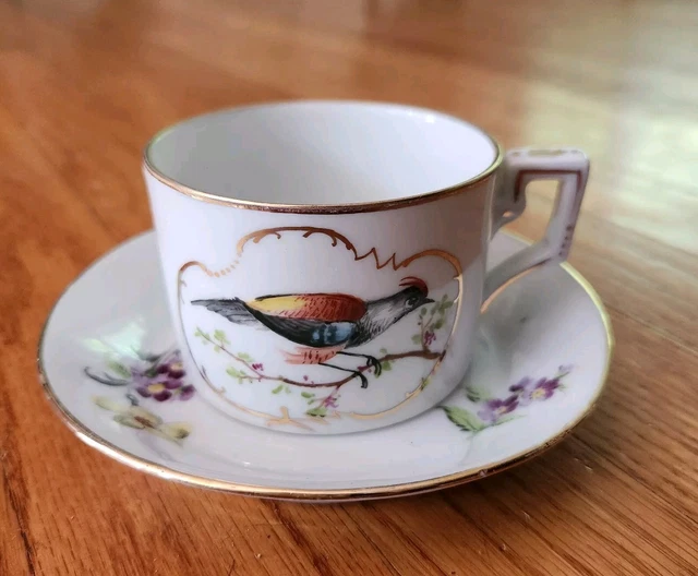Plat Bas Richard Ginori Voliere - Porcelaine De Qualité 24,5 Cm - Revendeur Autorisé