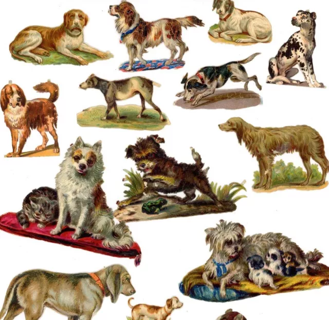 Antique Victorian Die Cut Scrap collection of 15 various dog portraits 1880s #40