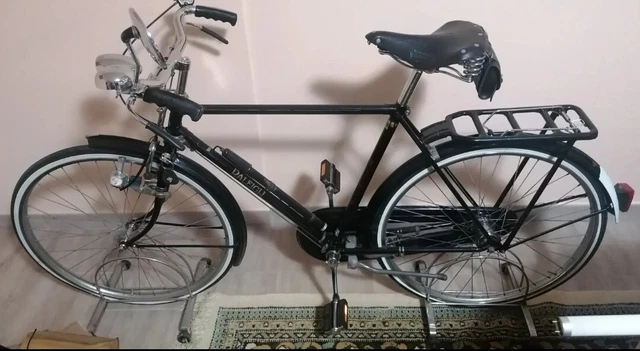 RALEIGHT MENS LIMITED Edition Bike 1970s Conservative Restoration Rare ...