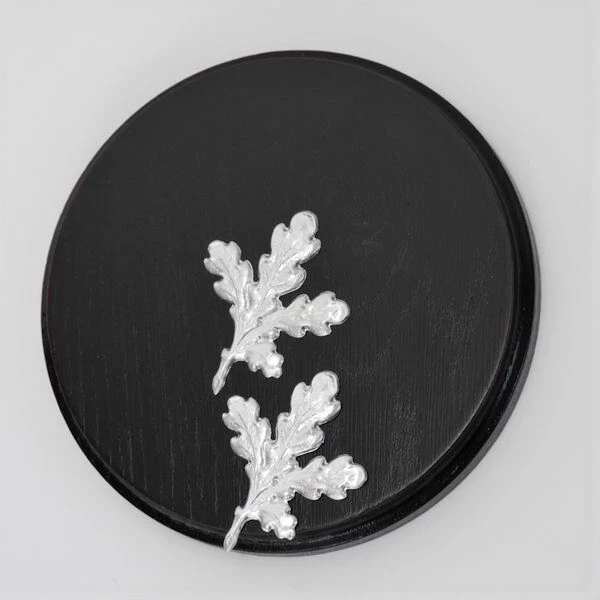 Placa de Jabalí Tablero Keiler Escudo de Trofeo Redondo Oscuro Af 15 CM Con 2X