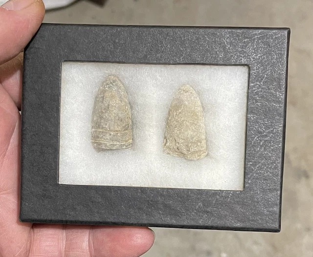 Civil War Era .69 Prussian Bullets Dug at Murfreesboro TN cased as found