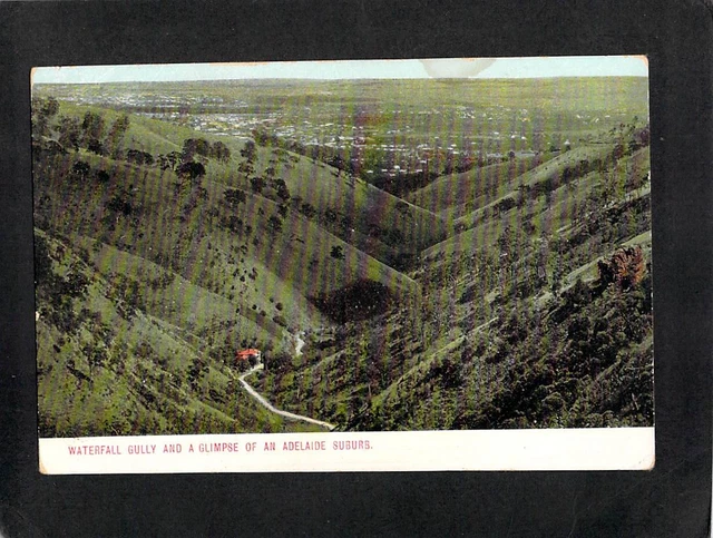 B5445 Australia SA Waterfall Gully Adelaide vintage postcard