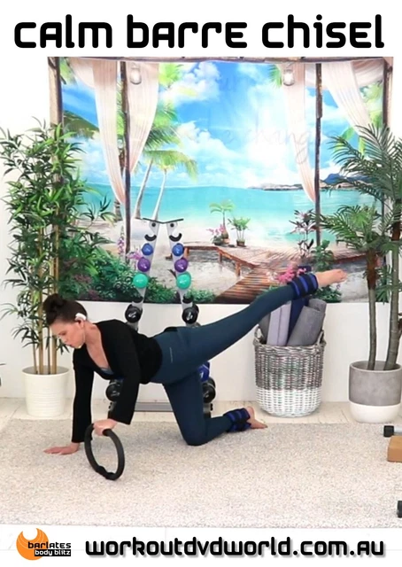 50 Min Total Body Pilates Ring Ankle Weight DVD Barlates CALM BARRE Chisel DVD