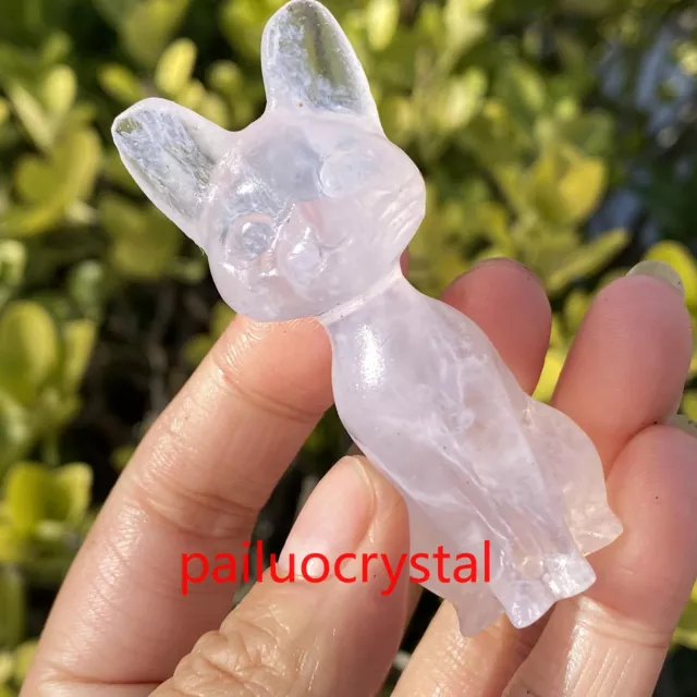 1pc Natural Unknown Cat Quartz Crystal Skull Carved Figurines Reiki 2.6"